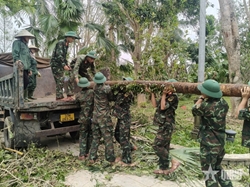 Troops Promptly Overcome Consequences of Typhoon Bualoi in Military Region 4